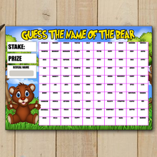 Load image into Gallery viewer, A4 Guess the name Fundraising Scratch Card Game 100 Fund Raiser