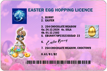 Load image into Gallery viewer, Easter Bunny Lost Hopping Licence