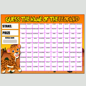 Fundraising Scratch card Game Guess the Leopards Name Fete Fayre A4