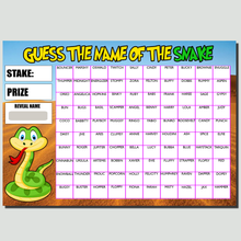 Load image into Gallery viewer, A4 Guess the name Fundraising Scratch Card Game 100 Fund Raiser