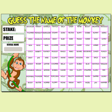 Load image into Gallery viewer, A4 Guess the name Fundraising Scratch Card Game 100 Fund Raiser