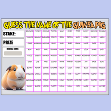 Load image into Gallery viewer, A4 Guess the name Fundraising Scratch Card Game 100 Fund Raiser