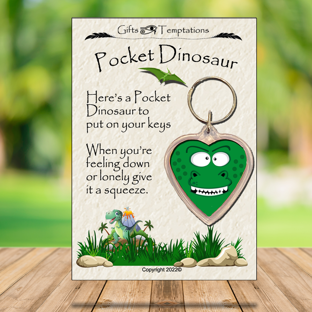 Pocket Dinosaur, cute animal gift, thinking of you, letterbox hug, Keyring