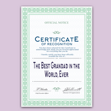 Load image into Gallery viewer, The Best In the World Certificate